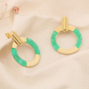 Boucles d'oreille acier inoxydable anneau résine acétate écaille de tortue femme 0323553 vert