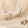 Boucles d'oreilles croissant de lune acier inoxydable strass 0324571 argenté